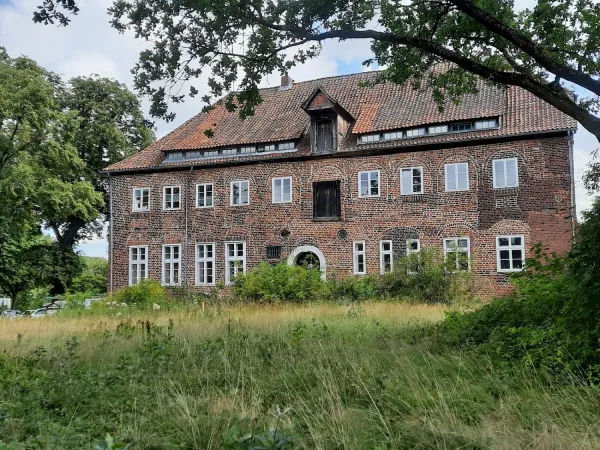 Bild von undefined