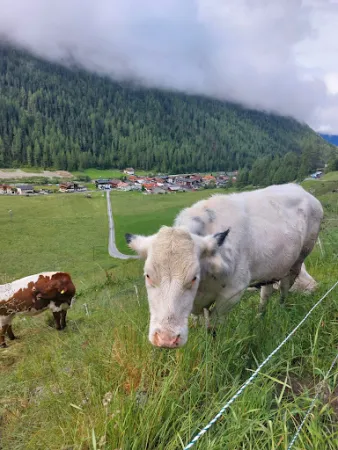 Bild von Brandalm