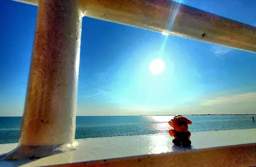Bild von Weisse Düne