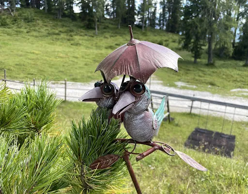 Bild von Rosemialm