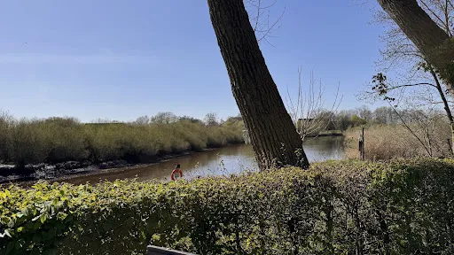 Bild von Zur Schleuse