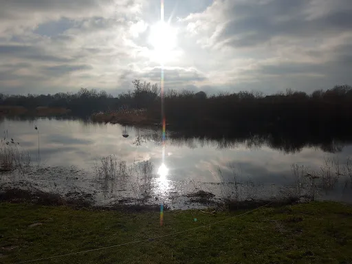 Bild von Zur Schleuse