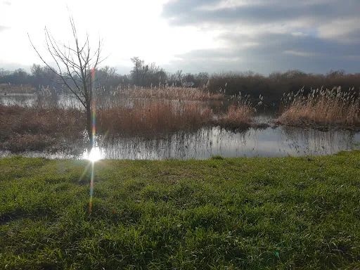 Bild von Zur Schleuse