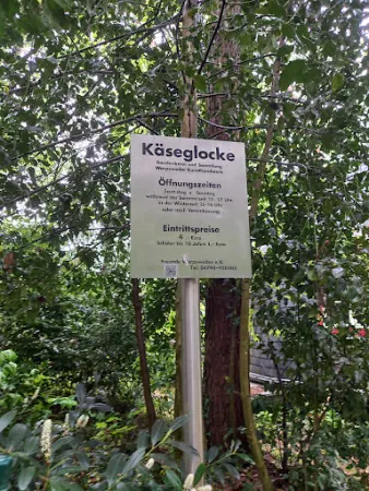Bild von Café Scheibner, Inh. Kirsten Meier-Holstein