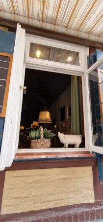 Schweine Schulze Celle