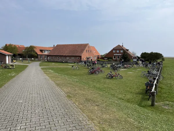 Bild von undefined