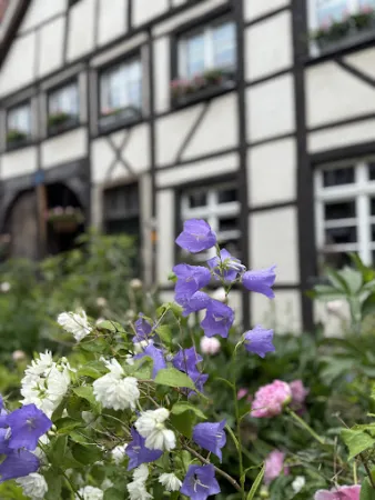 Bild von Restaurant Alt Westerholt