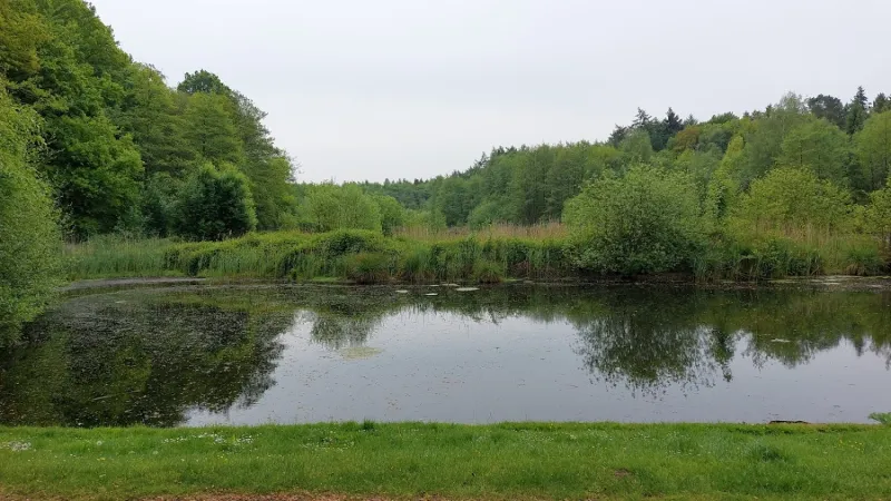 Bild von undefined