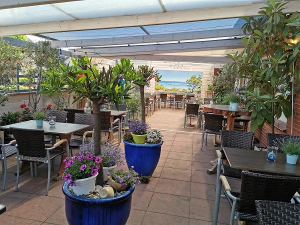 Bild von Hellas Restaurant - Lohne (Oldenburg)