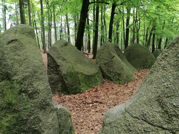 Bild von Gelika B.