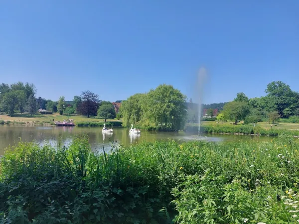 Bild von undefined