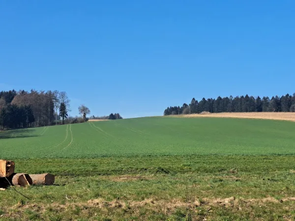 Bild von Stefan Twenning