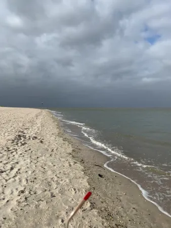 Bild von Magic Beach 11