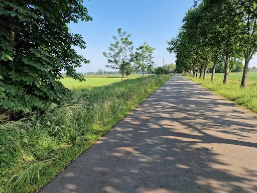 Bild von Westernhof Osterwald