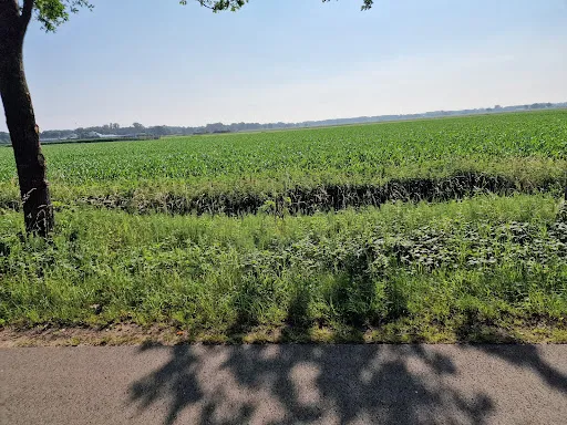 Bild von Westernhof Osterwald