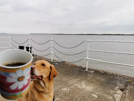 Bild von Die Kaffeeklappe