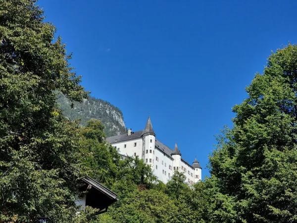 Bild von undefined