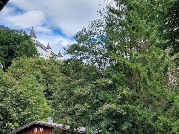 Bild von undefined