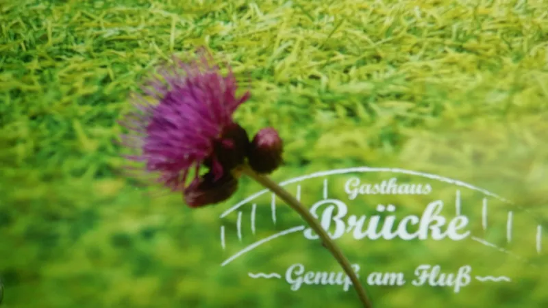 Bild von undefined