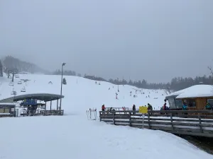 Schirmbar
