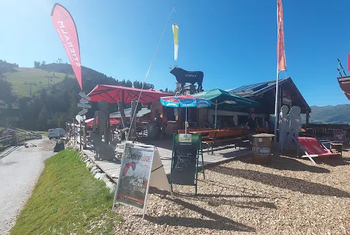 Bild von STIERALM PENKEN