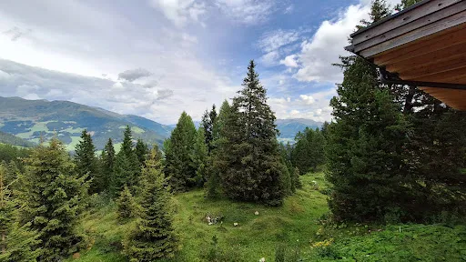 Bild von STIERALM PENKEN