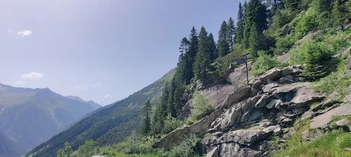 Bild von Einkehr zum Adlerblick