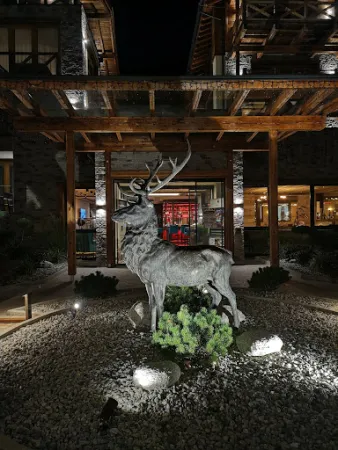Bild von Restaurant Waldvogel