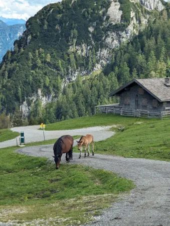 Bild von Kechtalm