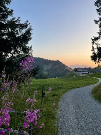 Bild von Schöner Mann Alpe