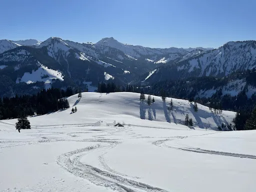 Bild von Schöner Mann Alpe