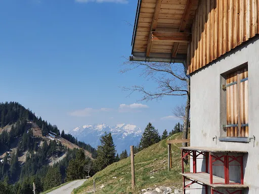Bild von Schöner Mann Alpe