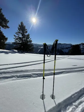 Bild von Schöner Mann Alpe