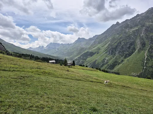 Bild von Bergrestaurant Paznauner Taja