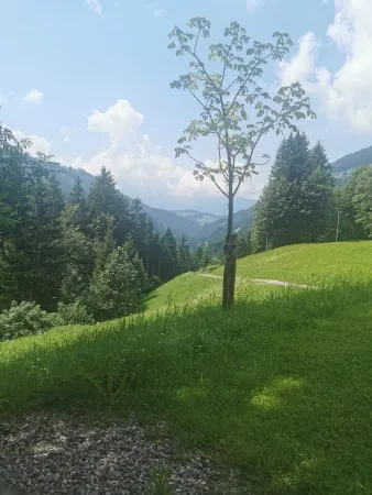 Bild von sergiu bastian