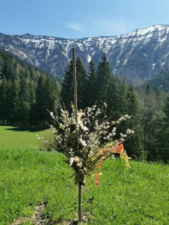 Bild von sergiu bastian