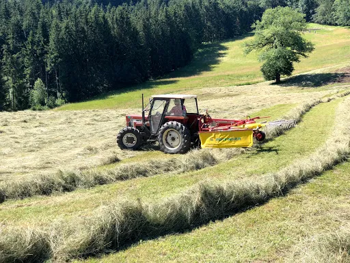 Bild von Dichtlalm