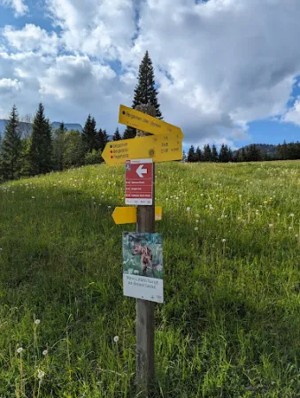Bild von Grundbichlalm
