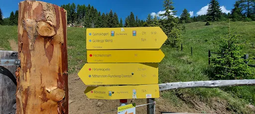Bild von Meislsteinalm