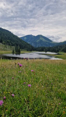 Bild von Auerhütte am Seewaldsee