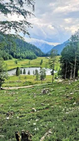 Bild von Auerhütte am Seewaldsee