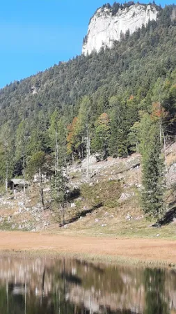 Bild von Auerhütte am Seewaldsee