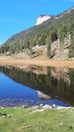 Bild von Auerhütte am Seewaldsee
