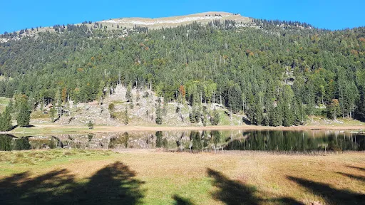 Bild von Auerhütte am Seewaldsee
