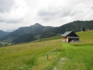 Reithütte