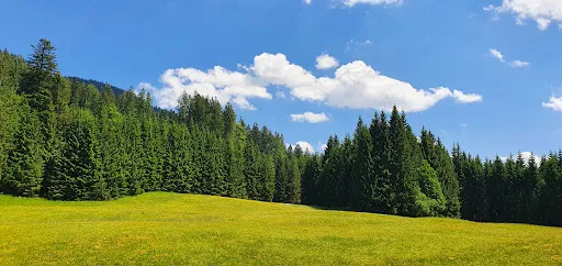 Hatznalm