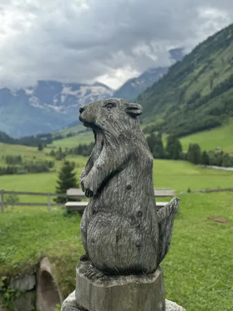 Bild von Oberstatt Alm Jausenstation