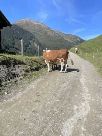 Bild von Huberwinkelalm Hochfügen