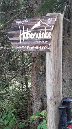 Bild von Huberwinkelalm Hochfügen
