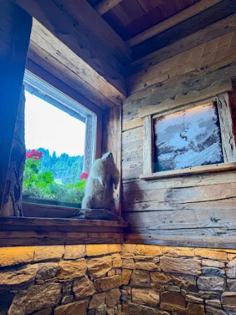 Bild von Sonn Alm Saalbach Hinterglemm